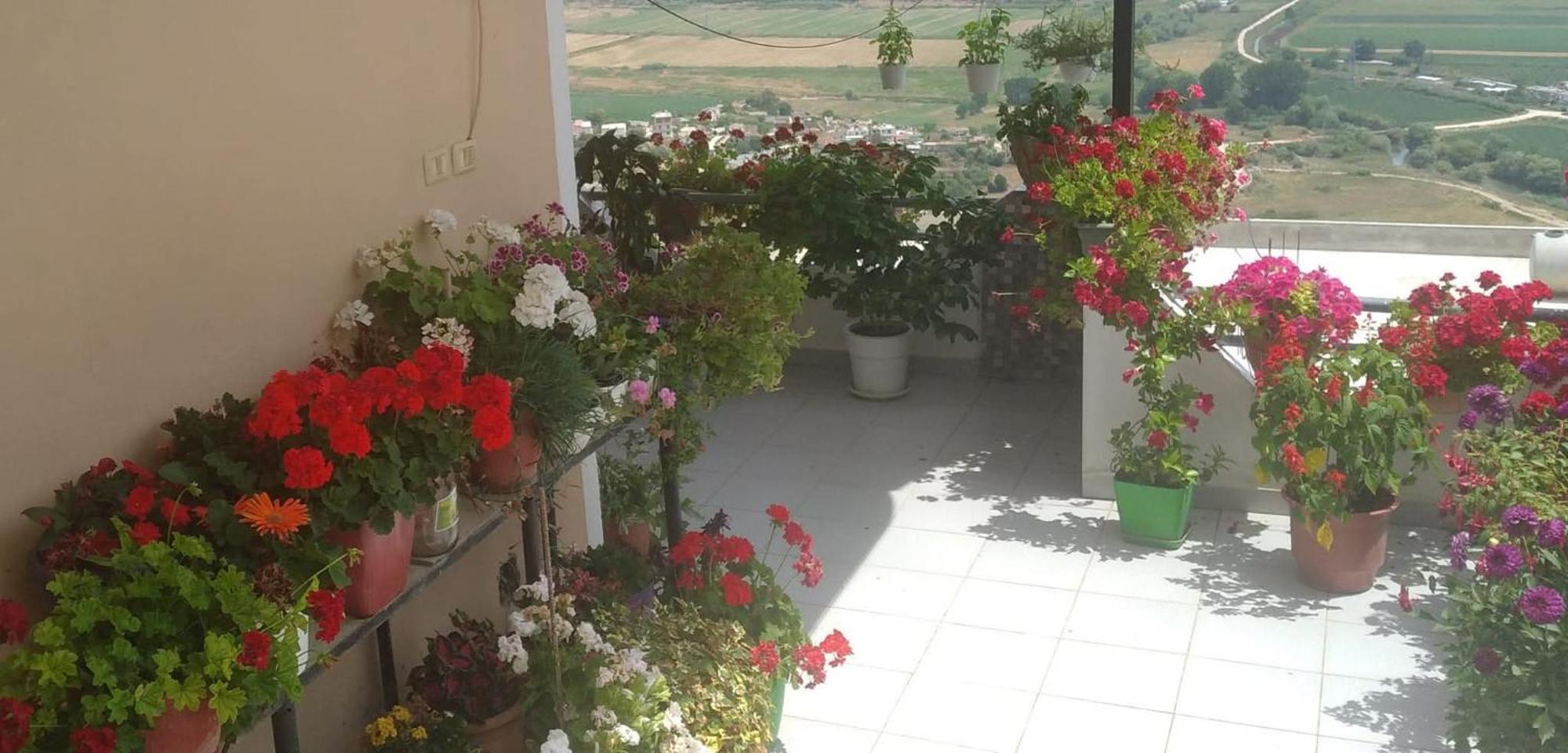 Nest Garden House Saranda