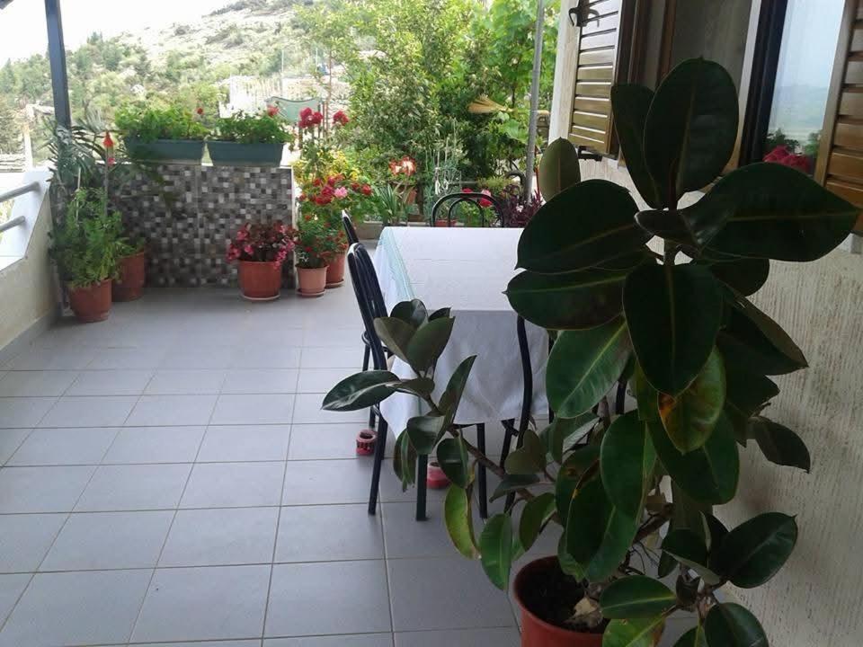 Nest Garden House Dom wakacyjny Saranda