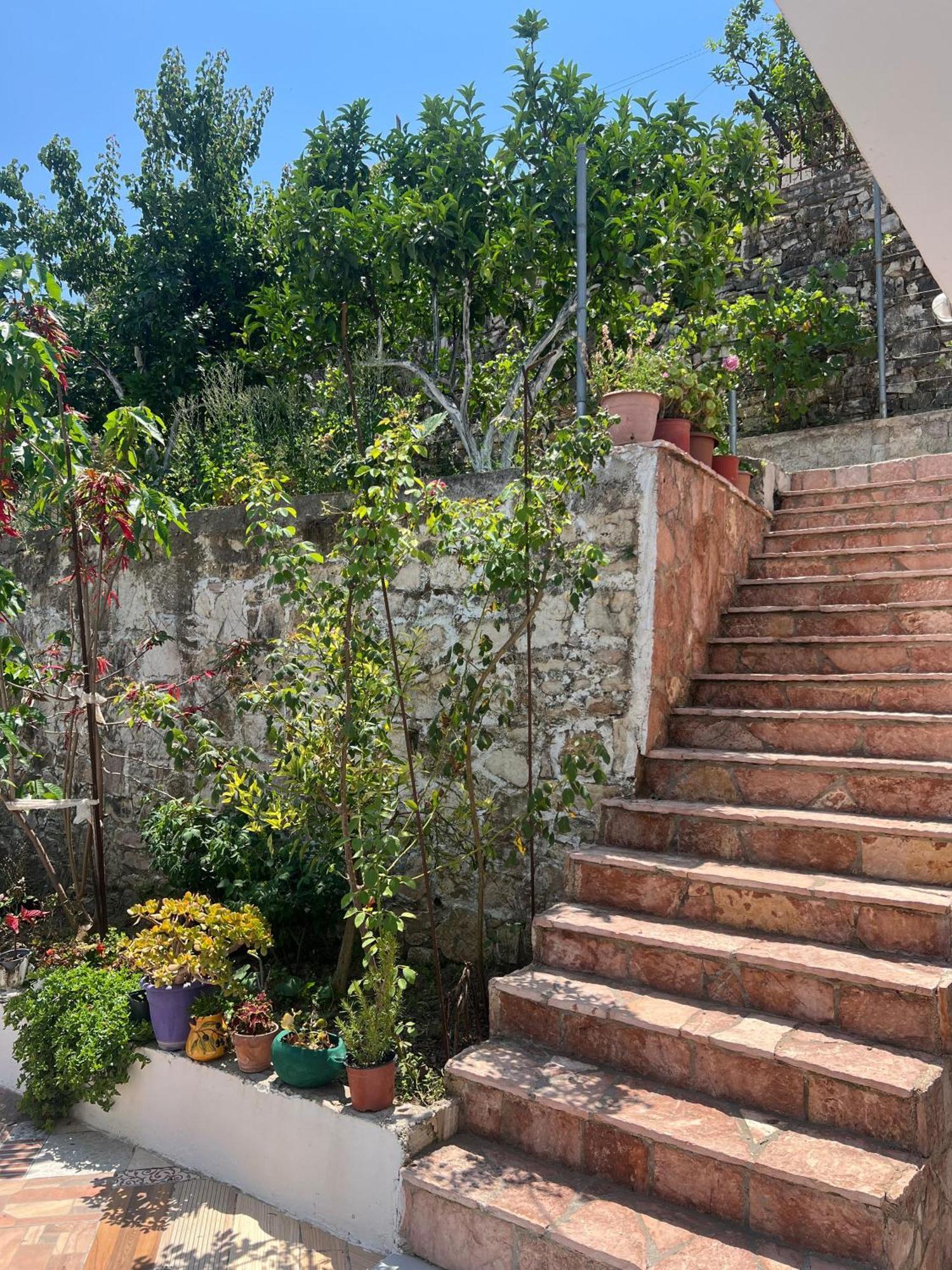Nest Garden House Dom wakacyjny *